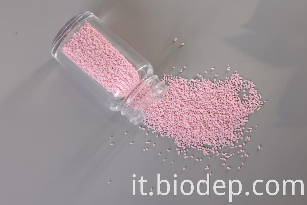 Lactobacillus Rhamnosus
